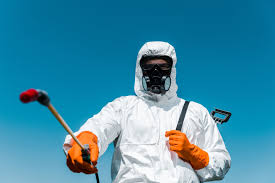 Best Ant Control  in Catalina Foothills, AZ